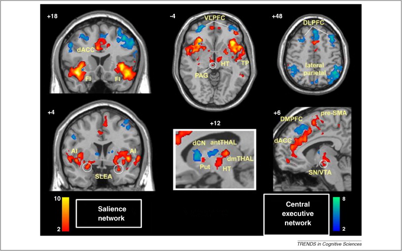 [[@bressler2010large]](http://dx.doi.org/10.1016/j.tics.2010.04.004)