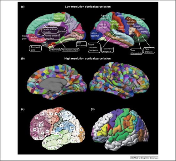 [[@bressler2010large]](http://dx.doi.org/10.1016/j.tics.2010.04.004)