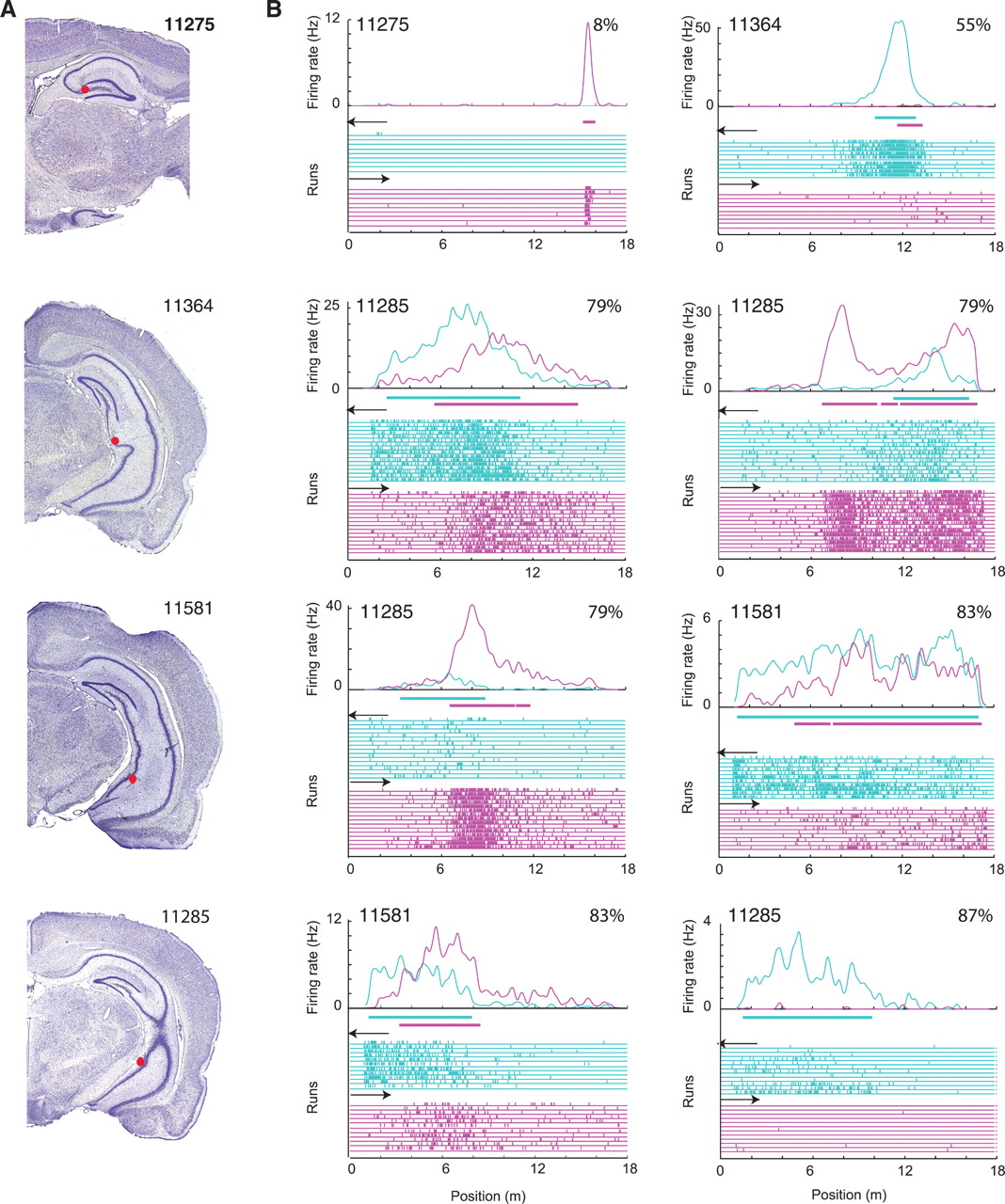 [[@kjelstrup_finite_2008]](http://dx.doi.org/10.1126/science.1157086)