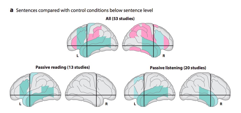 [[@Hagoort2014-au]](http://doi.org/10.1146/annurev-neuro-071013-013847)