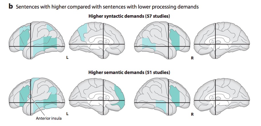 [[@Hagoort2014-au]](http://doi.org/10.1146/annurev-neuro-071013-013847)