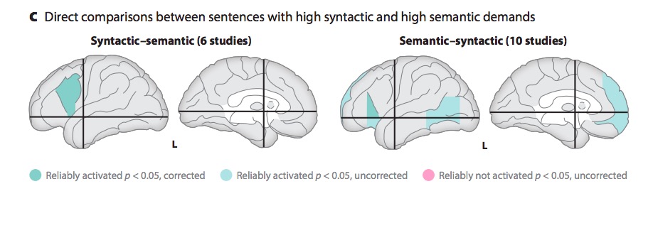 [[@Hagoort2014-au]](http://doi.org/10.1146/annurev-neuro-071013-013847)