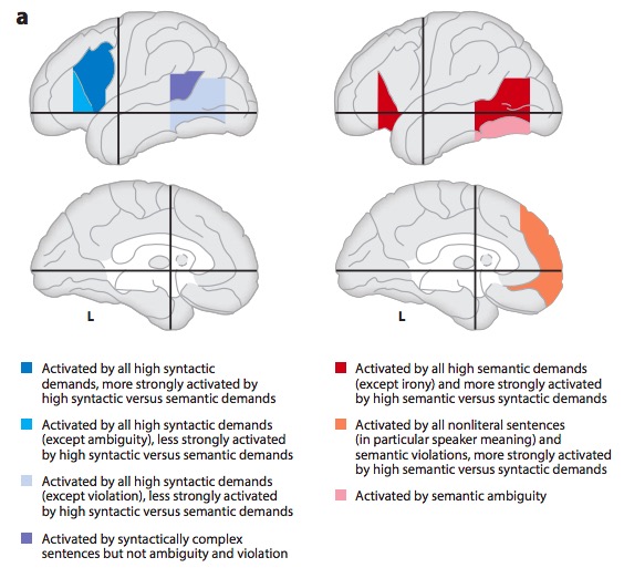 [[@Hagoort2014-au]](http://doi.org10.1146/annurev-neuro-071013-013847)