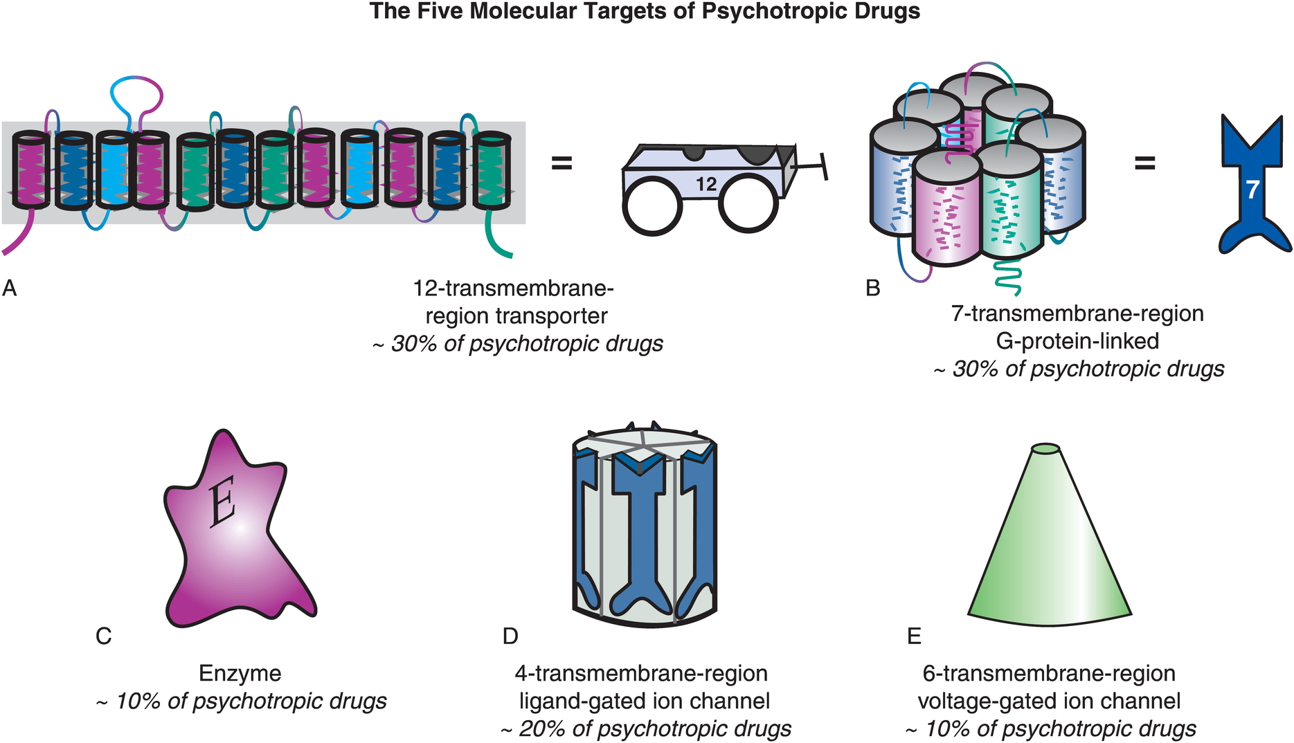 Source: https://stahlonline.cambridge.org/essential_4th_chapter.jsf?page=chapter2_summary.htm&name=Chapter%202&title=Summary