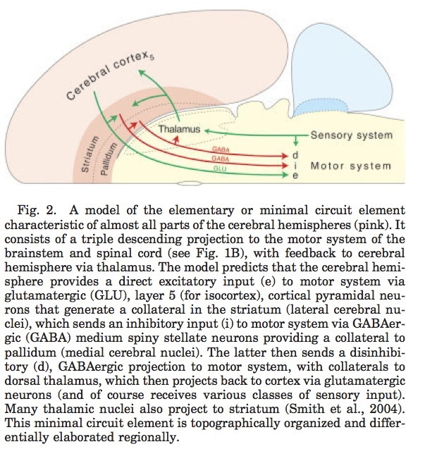 [[@swanson2012brain]](https://books.google.com/books?hl=en&lr=&id=tAk8Rr00kykC&oi=fnd&pg=PP2&dq=larry+swanson+book&ots=5F7nEnts45&sig=DJLKh5BF_8aVqpOdK28Qmh1wr5Q#v=onepage&q=larry%20swanson%20book&f=false)