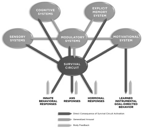 [@ledoux_rethinking_2012](http://dx.doi.org/10.1016/j.neuron.2012.02.004)